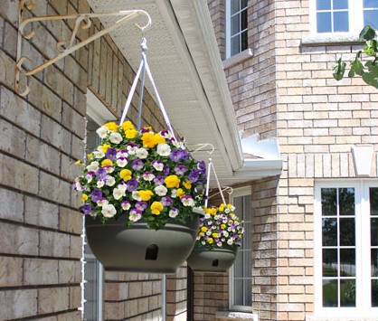 EEZY GRO Self-Watering Hanging Basket 12″ – Driftwood
